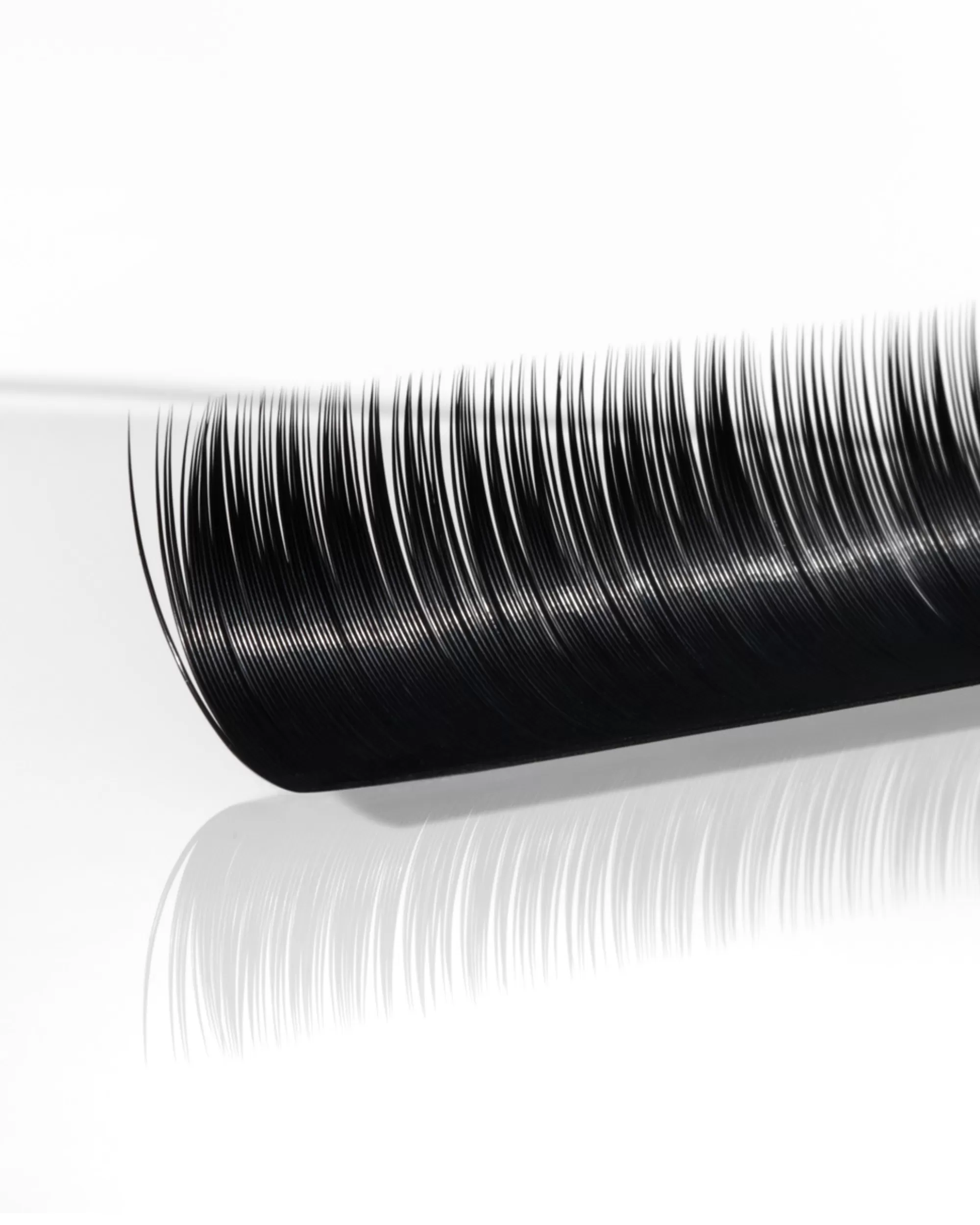 C-Curl Plush Lashes (Mixed Trays)