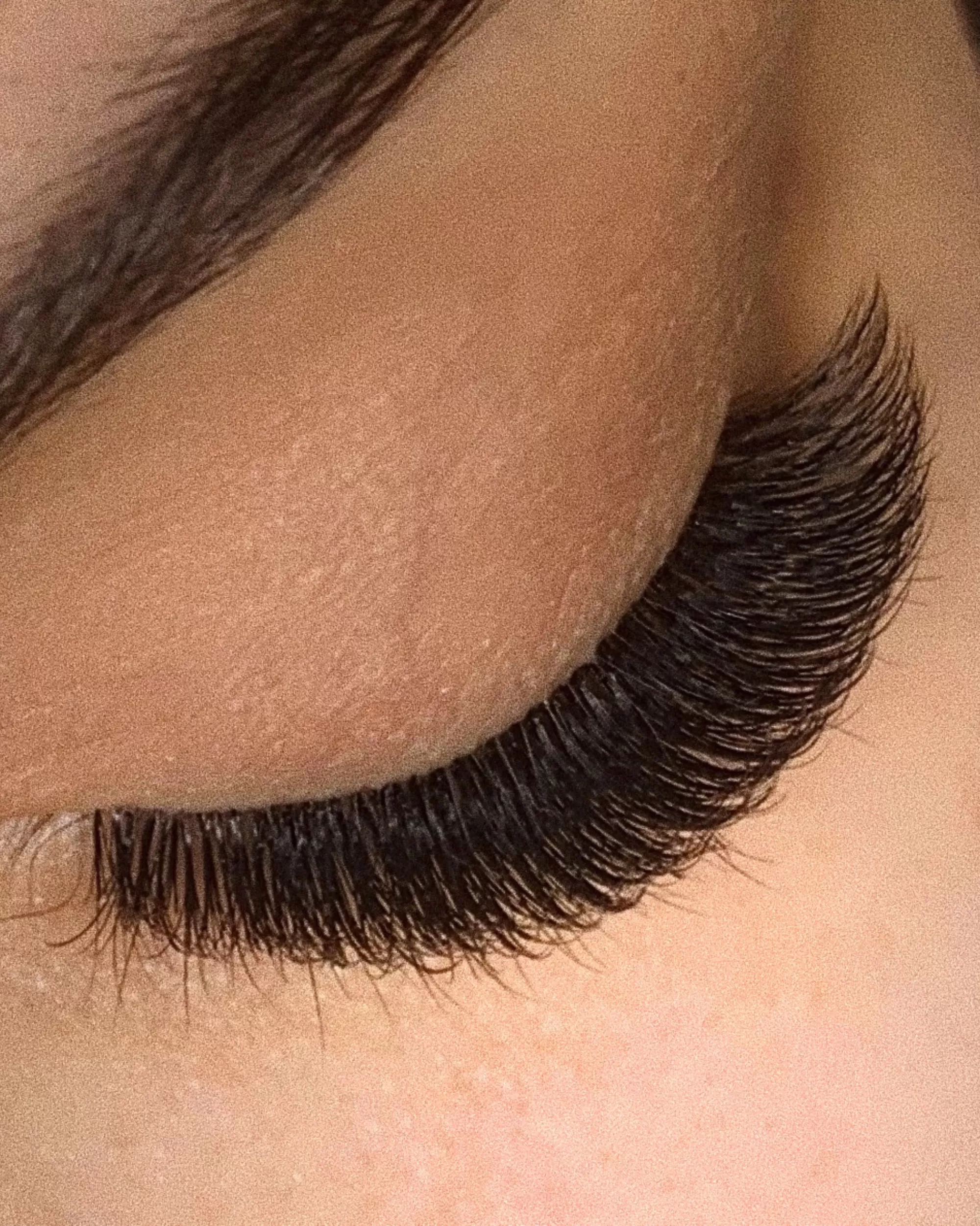 CC-Curl Plush Lashes (Single-Length Trays)