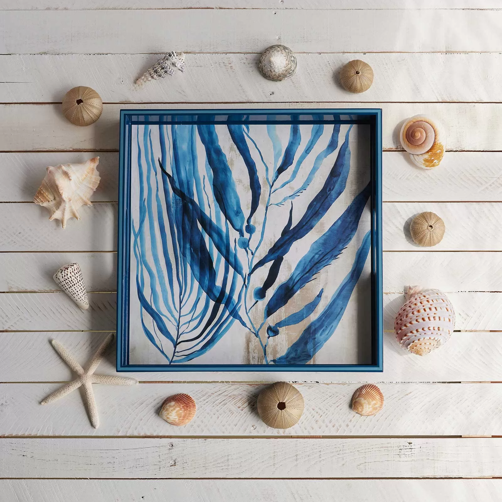 Oceanic Seaweed 15 Inch Square Tray