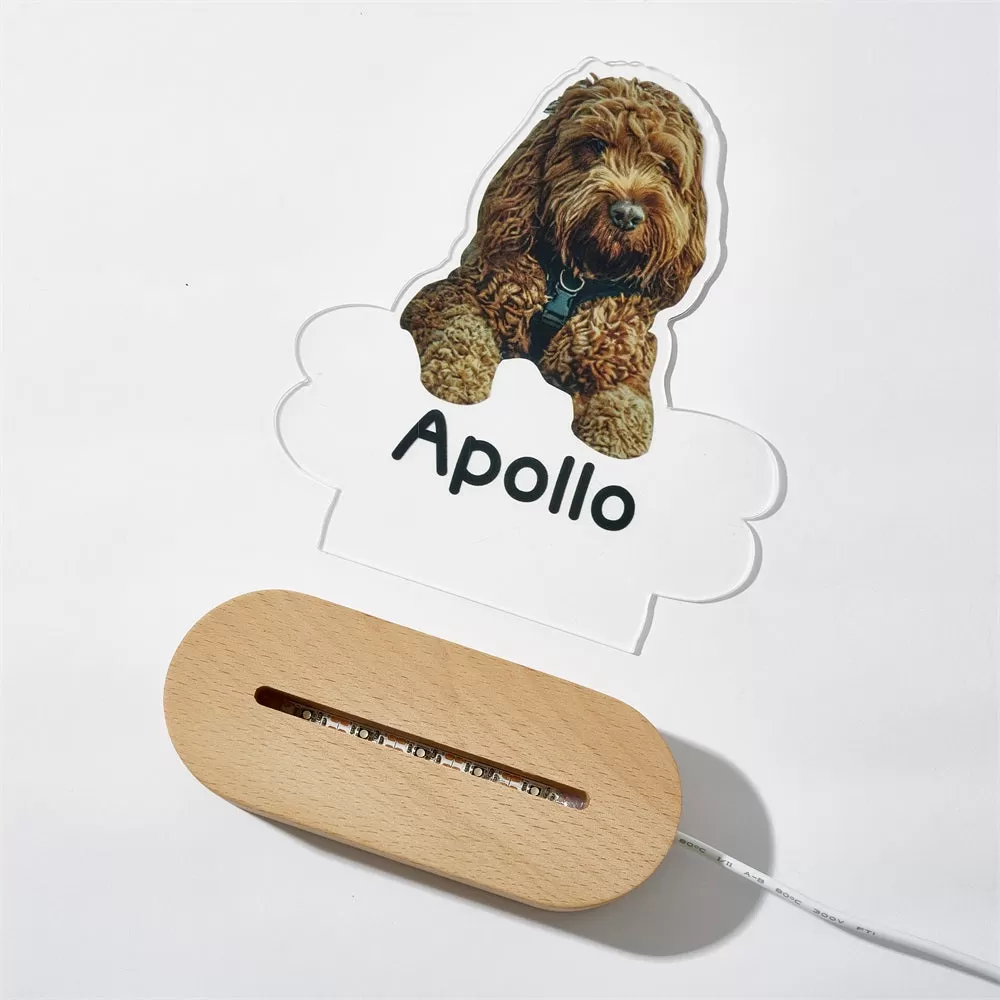 Personalized Pet Shaped LED Night Light Custom Dog Name Table Lamp