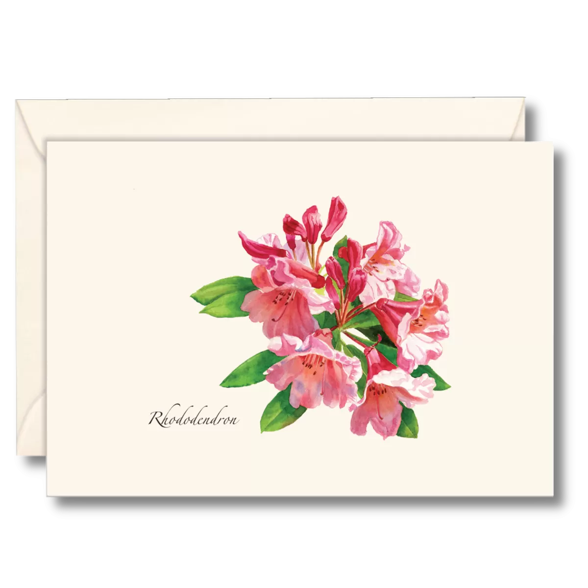 Rhododendron Boxed Notecards